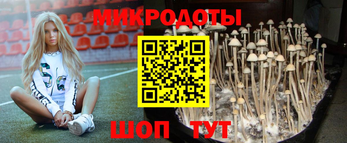 Псилоцибиновые грибы ЛСД  Вход с VPN  Шали 