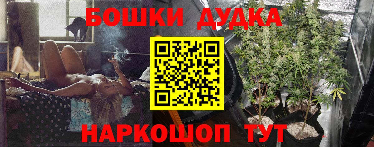 Шали  Каннабис индика  Конопля планчик  Вход с VPN  Марихуана планчик  Марихуана сатива 